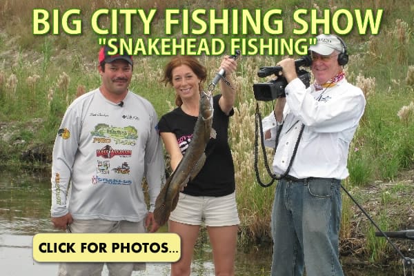Big City Fishing Show Snakehead
