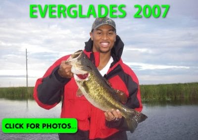 2007 Florida Everglades Pictures