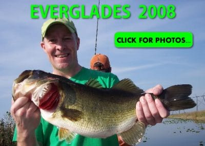 2008 Florida Everglades Pictures