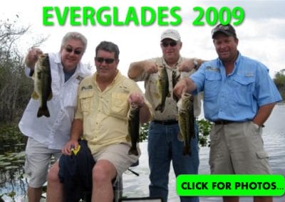 2009 Florida Everglades Pictures