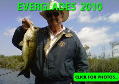 2010 Florida Everglades Pictures