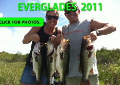 2011 Florida Everglades Pictures