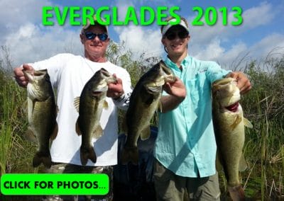 2013 Florida Everglades Pictures