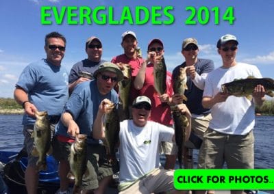 2014 Florida Everglades Pictures