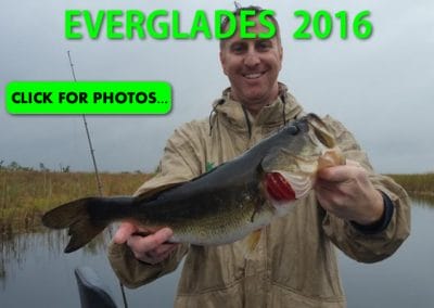 2016 Florida Everglades Pictures