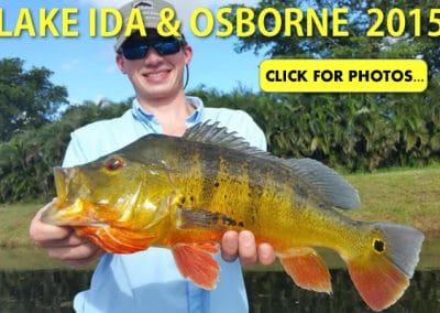 2015 Lake Ida Peacock Bass Pictures