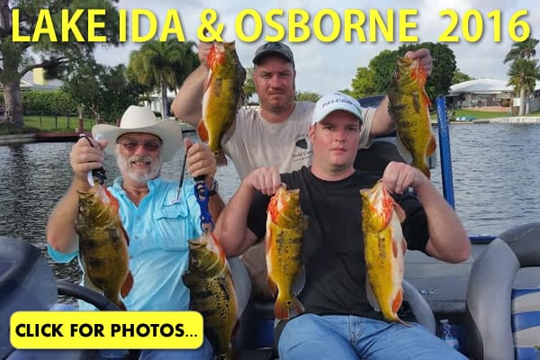 2016 Lake Ida Peacock Bass Pictures
