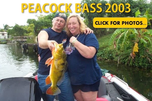 2003 Peacock Bass Pictures