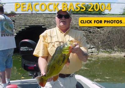 2004 Peacock Bass Pictures