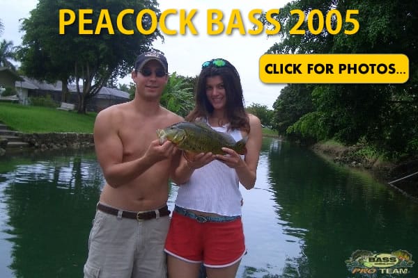 2005 Peacock Bass Pictures