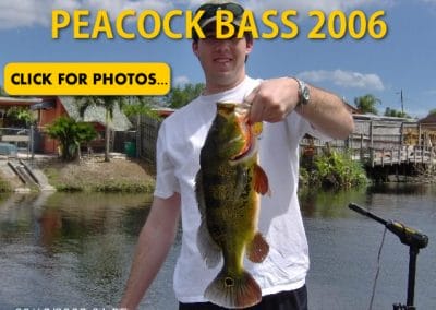 2006 Peacock Bass Pictures