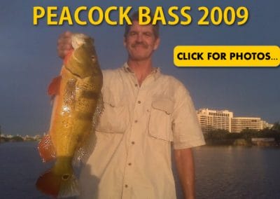 2009 Peacock Bass Pictures