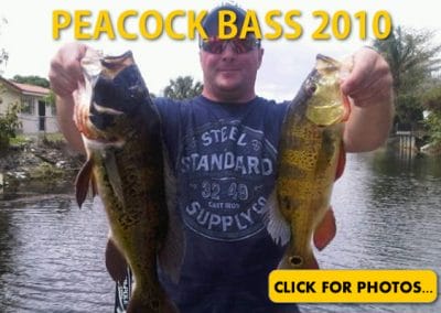 2010 Peacock Bass Pictures