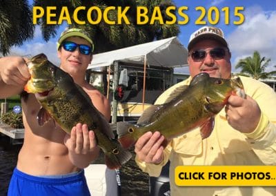 2015 Peacock Bass Pictures