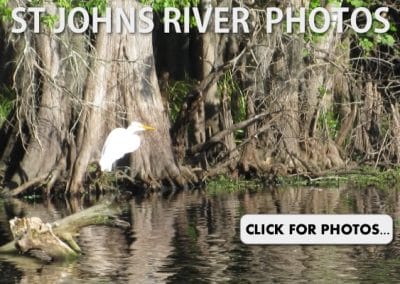 St Johns River Photos