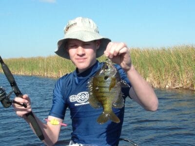 Use pan fish fly tackle to catch fish when panfish spawn