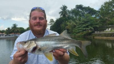 freshwater snook fishing recreational harvest