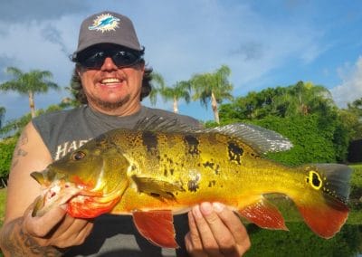 Miami Falls Peacock Bass Fishing
