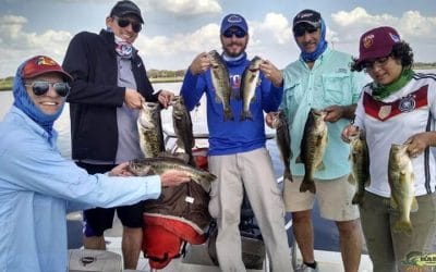 Florida Multi-Day Okeechobee Bass Fishing Report
