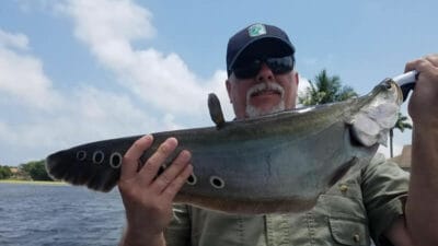 Lake Osborne Exotic Bass Fishing