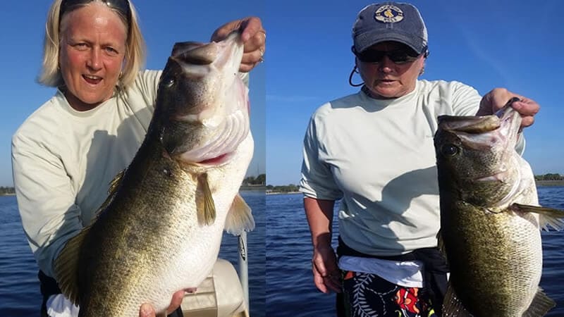Lake Toho charters with artificial lures