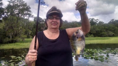 Subsurface fly catch panfish in local pond like big bluegill