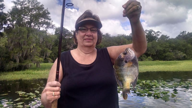 Fishing Patterns for A bluegill caught in post-spawn season