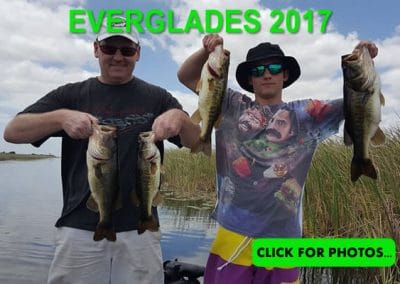 2017 Florida Everglades Pictures