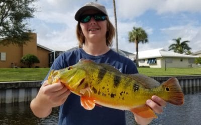 Great Peacock Bass Fishing Trip