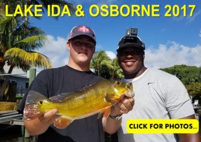 2017 Lake Ida Peacock Bass Pictures
