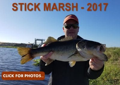 2017 Stick Marsh Pictures