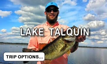Lake Talquin