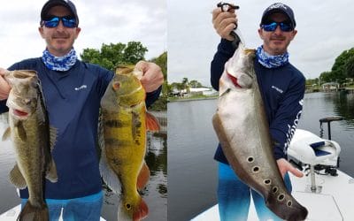 Florida Fishing Five Species on the Lake Ida Chain of Lakes