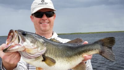 big bait fish to catch bass - big bass baits