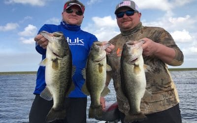 Top Central Florida Lakes To Find Big Bass