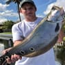 Clown Knifefish - South Florida bass charters