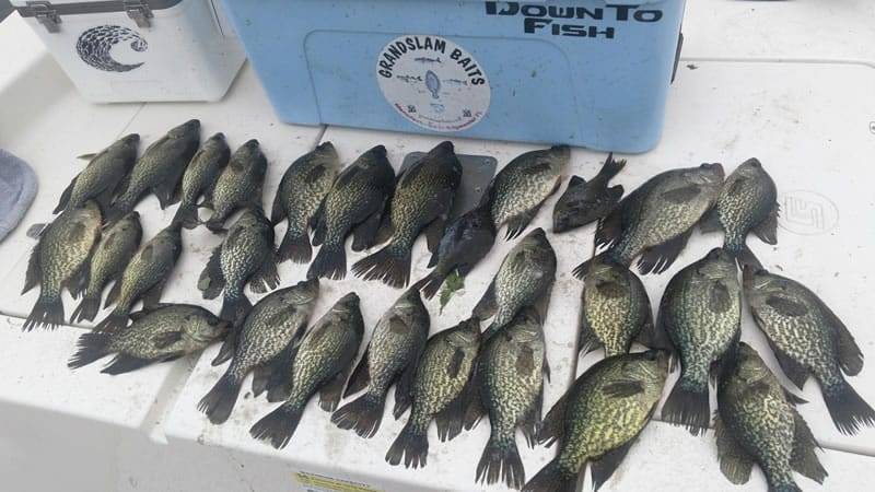 North Florida Freshwater Fishing 1