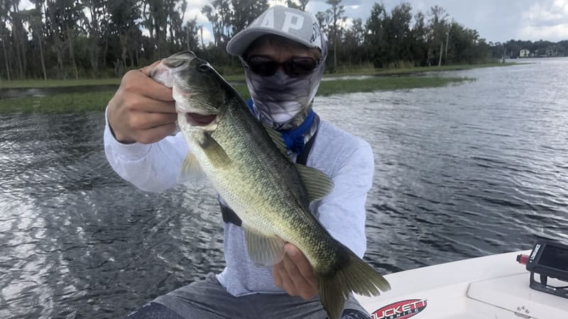 November Orlando Artificial Fishing 2