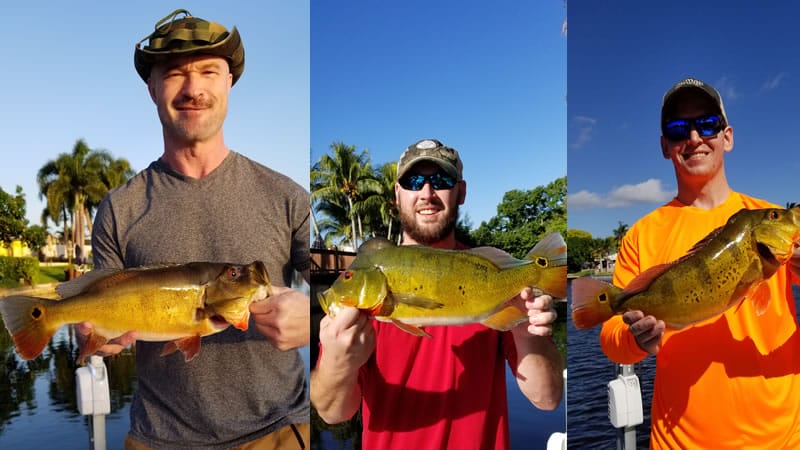 November Peacock Bass Fishing 2