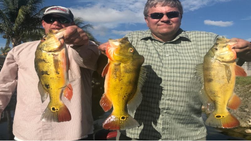 miami travelers bass fishing 1