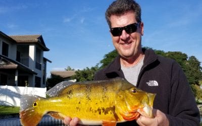 Palm Beach Exotic Fishing Adventure with Local Experts