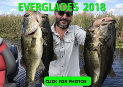 2018 Florida Everglades Pictures