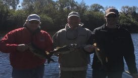 Central Florida Weekend Fishing Report 6