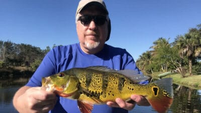 Southwest FL Bass Fishing 3