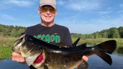 how to catch bigger bass