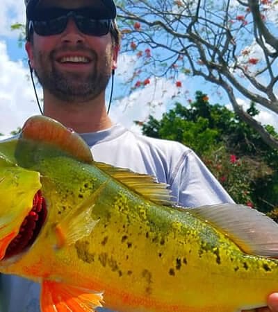 Peacock bass fishing guides Florida