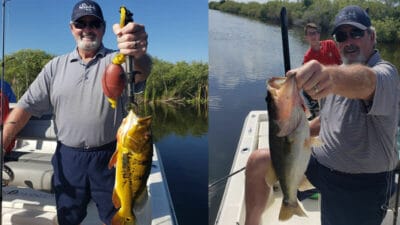 Summer Everglades Bass Fishing 3