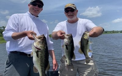 Artificial Summertime Bass Fishing on Florida Chain of Lakes