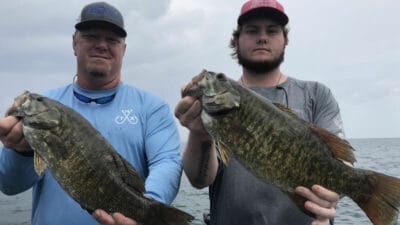 Smallmouth bass is typically half the size of largemouth bass
