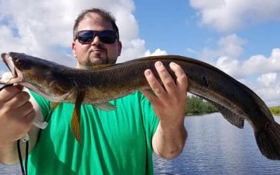 Monster Florida Snakehead Fishing Charter in South Florida
